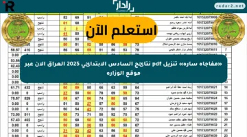 «مفاجأة سارة» تنزيل pdf نتائج السادس الابتدائي 2025 العراق الآن عبر موقع الوزارة